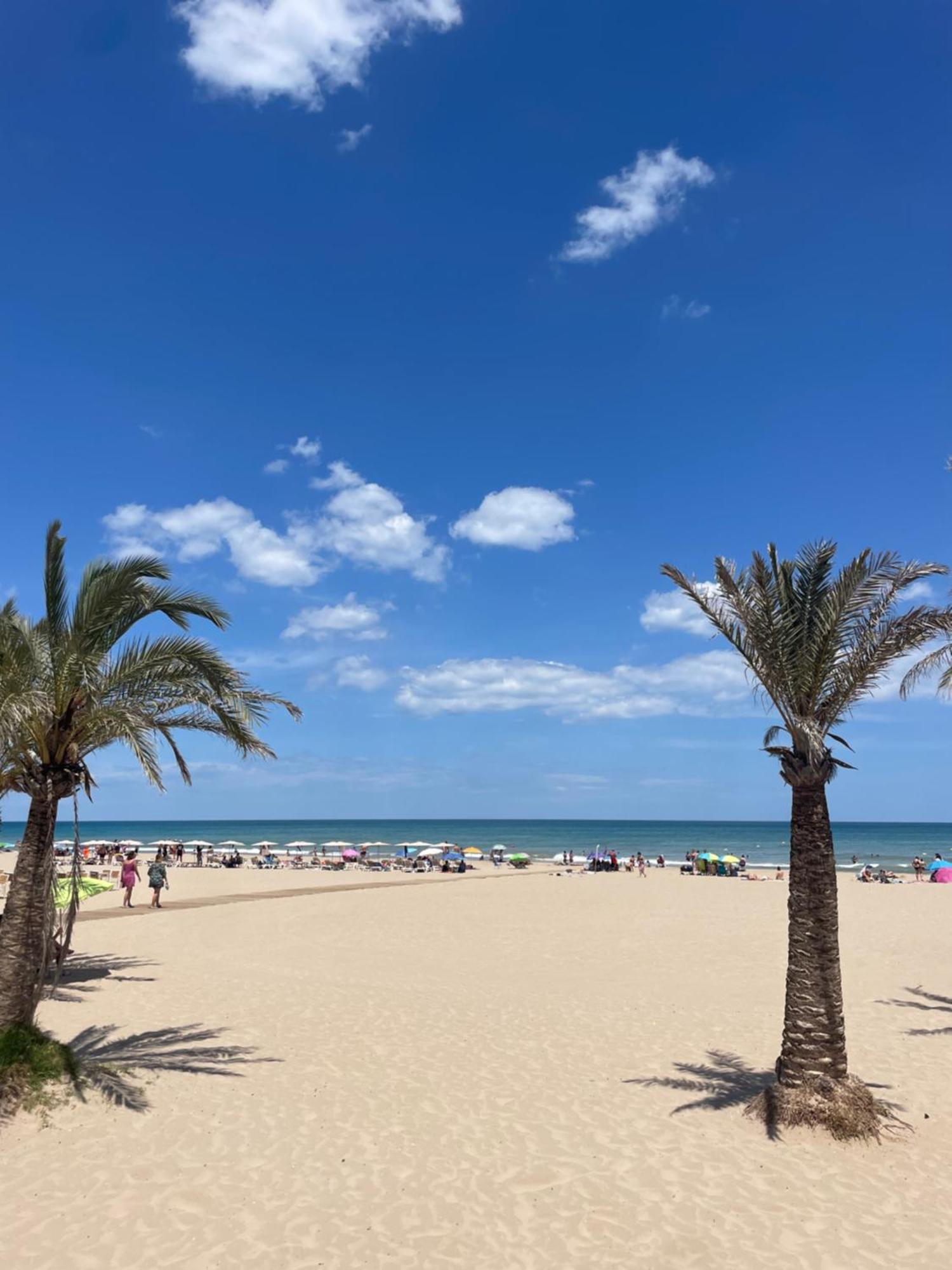 Apartamento Layla - Solo Familias Gandia Luaran gambar